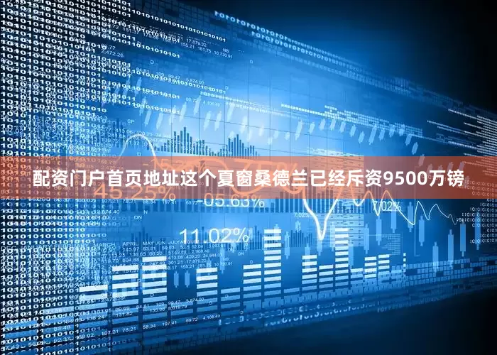 配资门户首页地址这个夏窗桑德兰已经斥资9500万镑