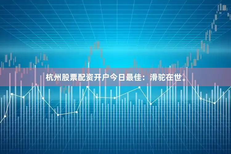 杭州股票配资开户今日最佳：滑驼在世。