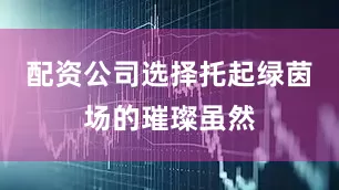配资公司选择托起绿茵场的璀璨虽然
