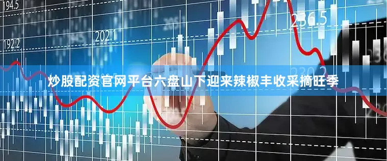 炒股配资官网平台六盘山下迎来辣椒丰收采摘旺季