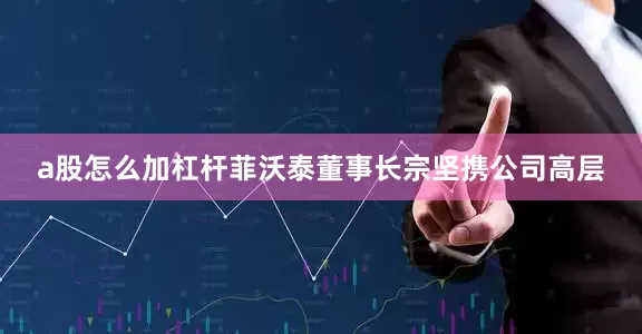a股怎么加杠杆菲沃泰董事长宗坚携公司高层